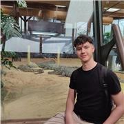 Doy clases sobre programación orientadas a el grado superior de DAM